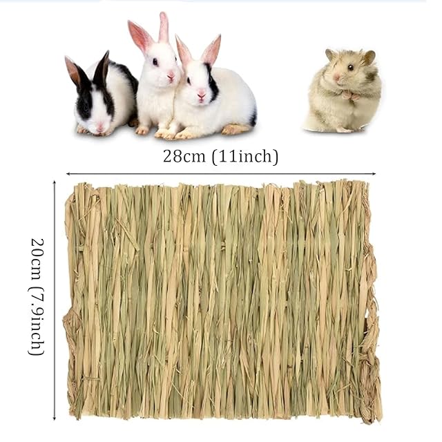 Foto 4 de 7 de yufana 2 Piezas 28 * 20cm Alfombrilla Hierba para Conejo,Estera La Hierba del Hámster Cama de Juguete…