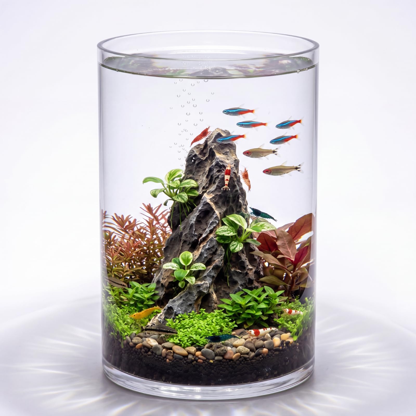 Maxdot 3.2 Gallon Cylindrical Glass Fish Tank Solid Base