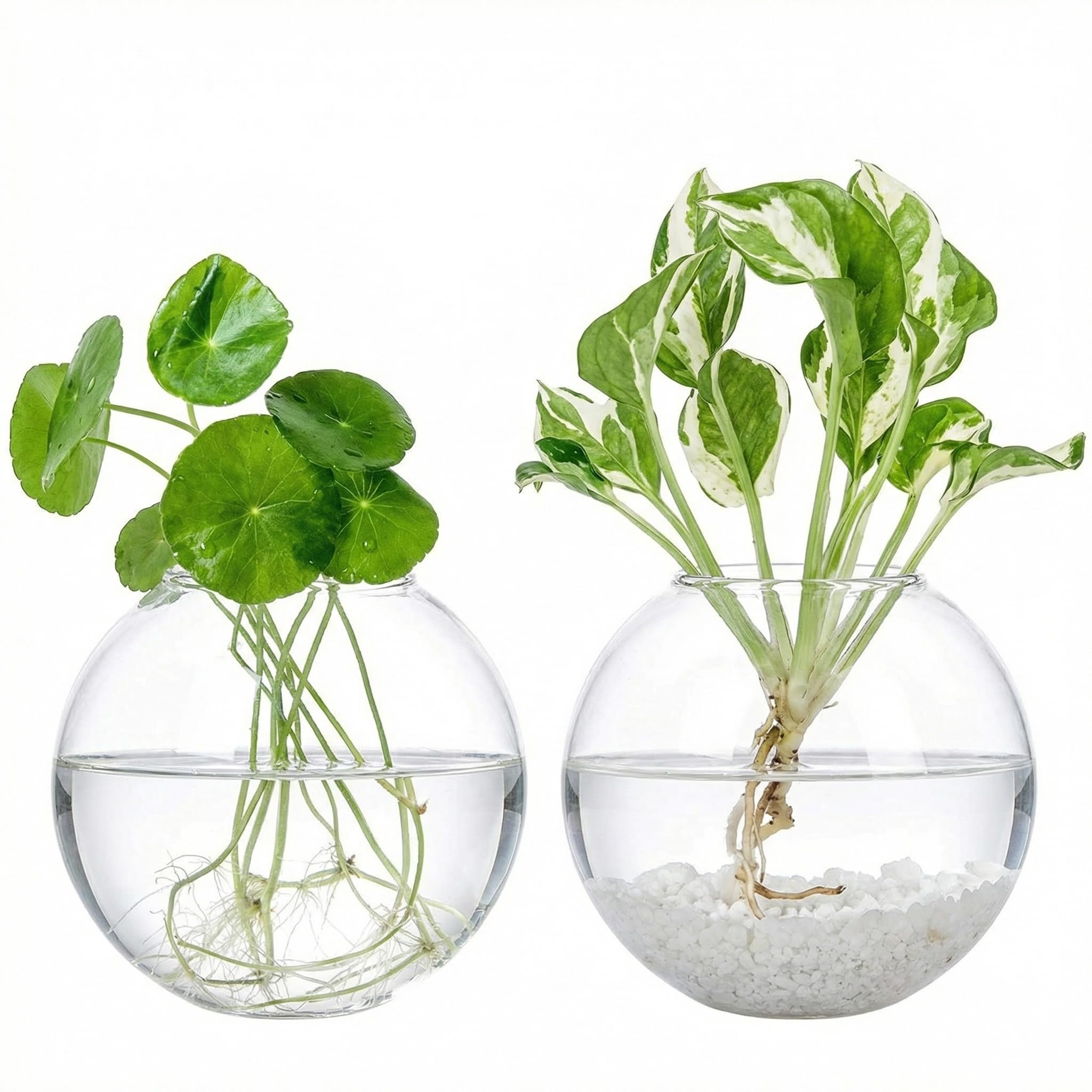 Kingbuy Wall Hanging Glass Planter Propagation Station - 2 Pack Oblate Globe Wall-Mounted Vases for Indoor Hydroponic Air Plants Bathroom Living Room Office Decor Gift for Women, Mom, Plants Lovers