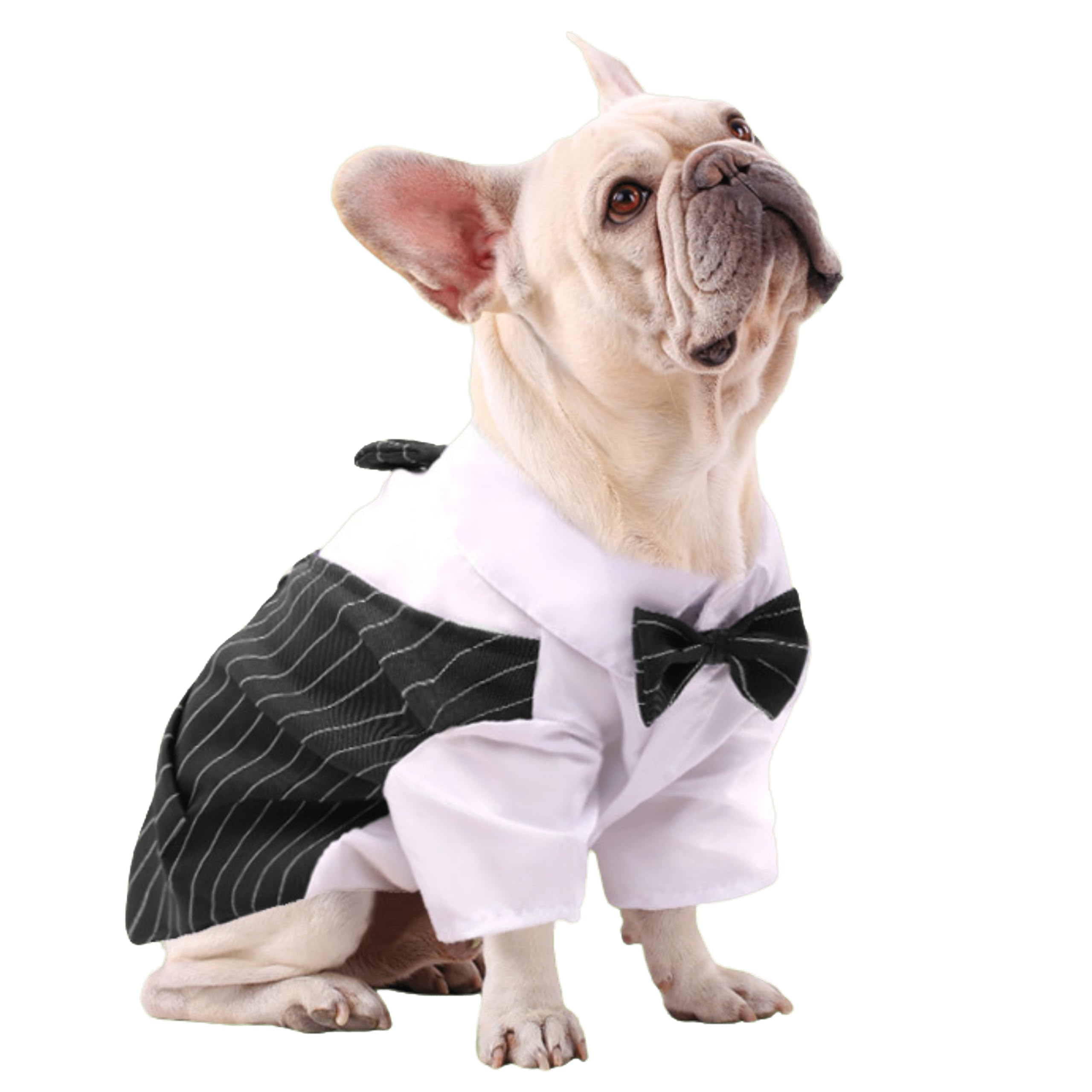 WOZTI Dog Suit or Dog Tuxedo | Bandana Set, Dogs Wedding Party Suit, Dog Clothes Bow Tie, Dog Dresses for Small, 3and 4 Month Dogs Golden Retriever,| Labrador | shitzu | Pug (XL, Black) (B0CTFVS9VL) Amazon Price History, Amazon Price Tracker