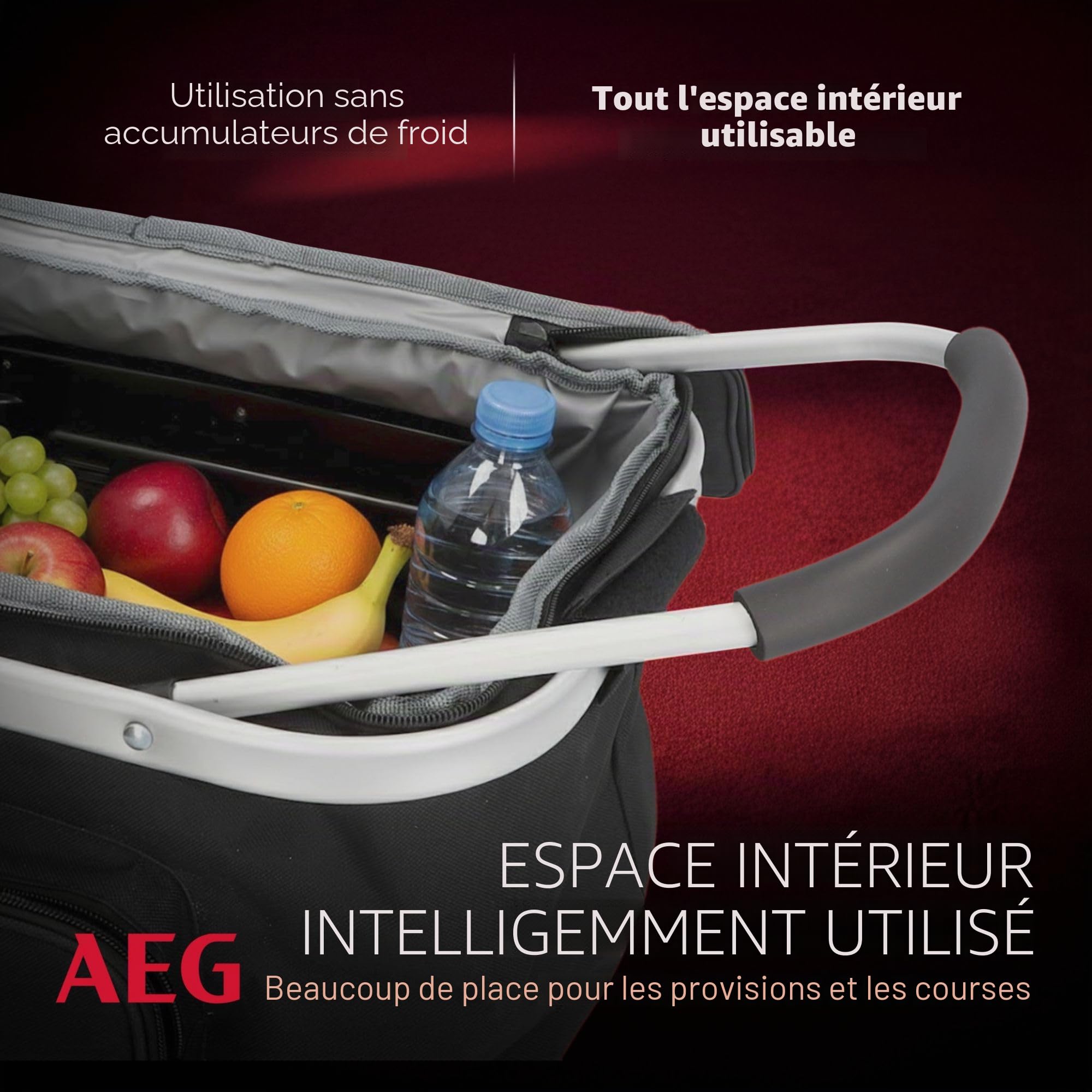 AEG Glacière