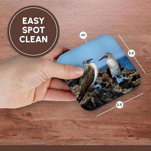 Vista 7 de 3dRose Ecuador, Islas Galápagos, Isla Isabela - Posavasos blandos con patas azules (juego de 4)