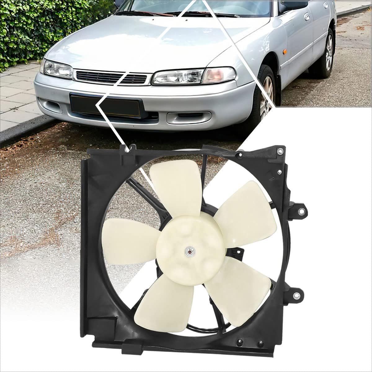 Ventiladores de Motor