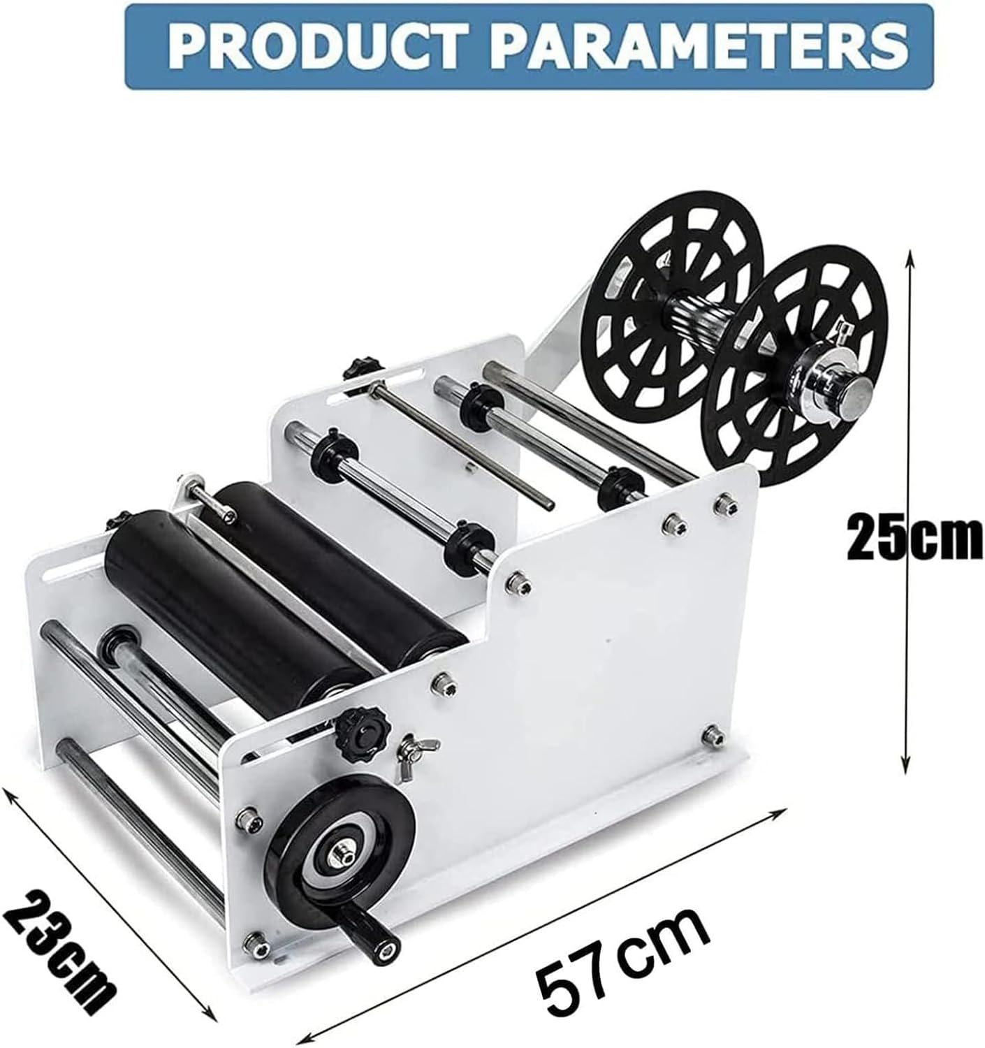 シマトネリコ/大株立ち【現品発送】管理70842 シマトネリコ/大株立ち【現品発送】管理70842 シマトネリコ/大株立ち