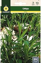 Mascarell Seeds, COLLECTIONS, Aromatic Herb Seeds for Planting, Create Your Own Garden at Home, 1 g