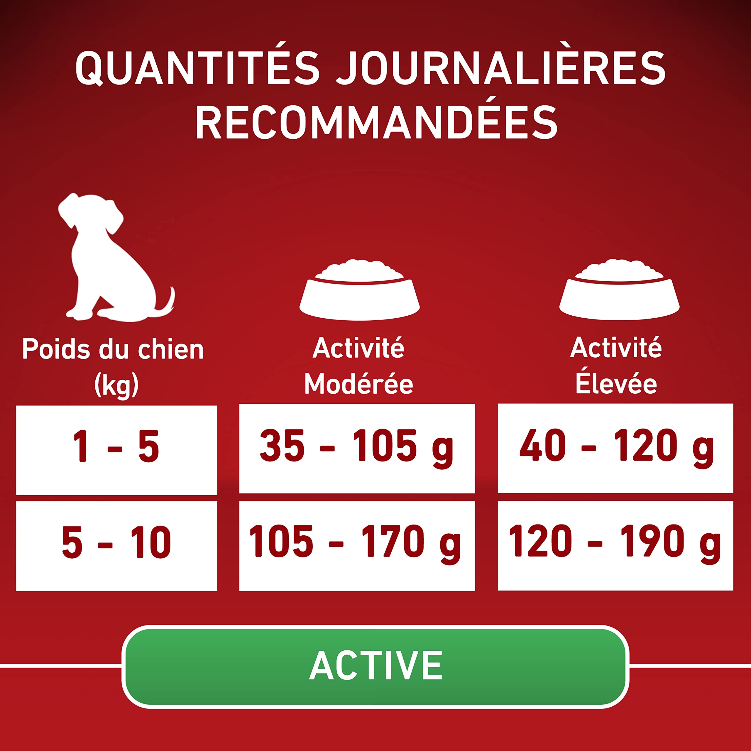 PURINA ONE | MINI | ACTIVE | Croquettes pour Chien Adulte Actif de petite taille, <10 Kg | Protéines de haute qualité pour aider à soutenir des muscles forts | Au Poulet | Sac | Lot de 6 x 1,5 Kg