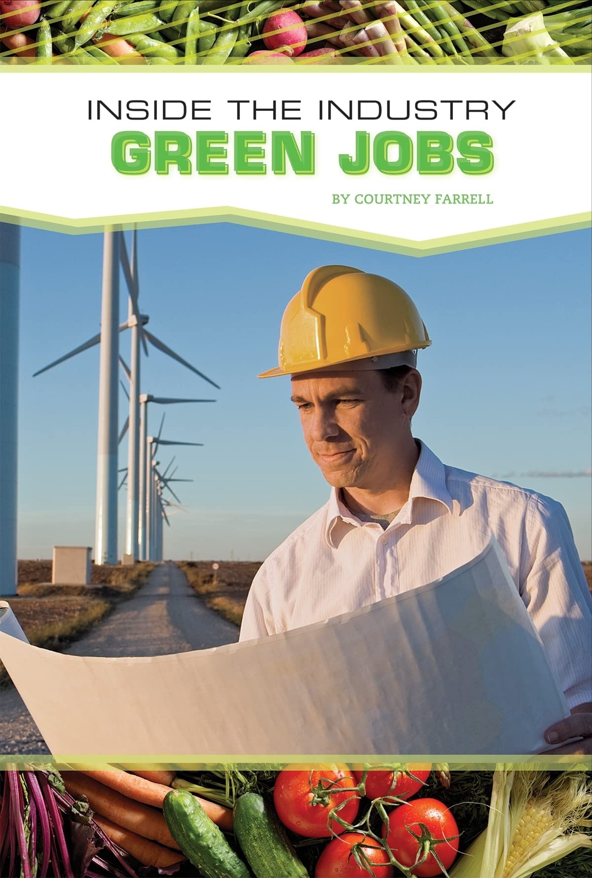Buy Green Jobs (Inside the Industry) — BookShops.in