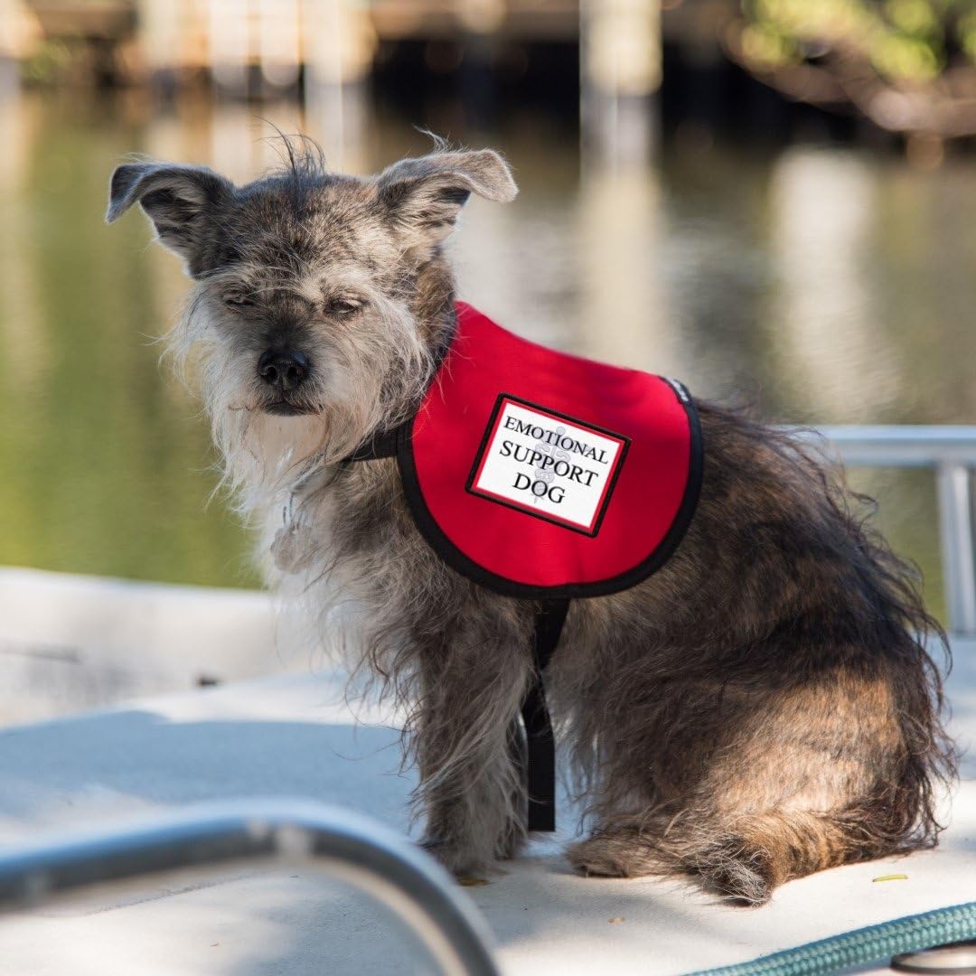 Emotional Support Dog Vest - Complete with two patches (RED, 20-30 Pounds)
