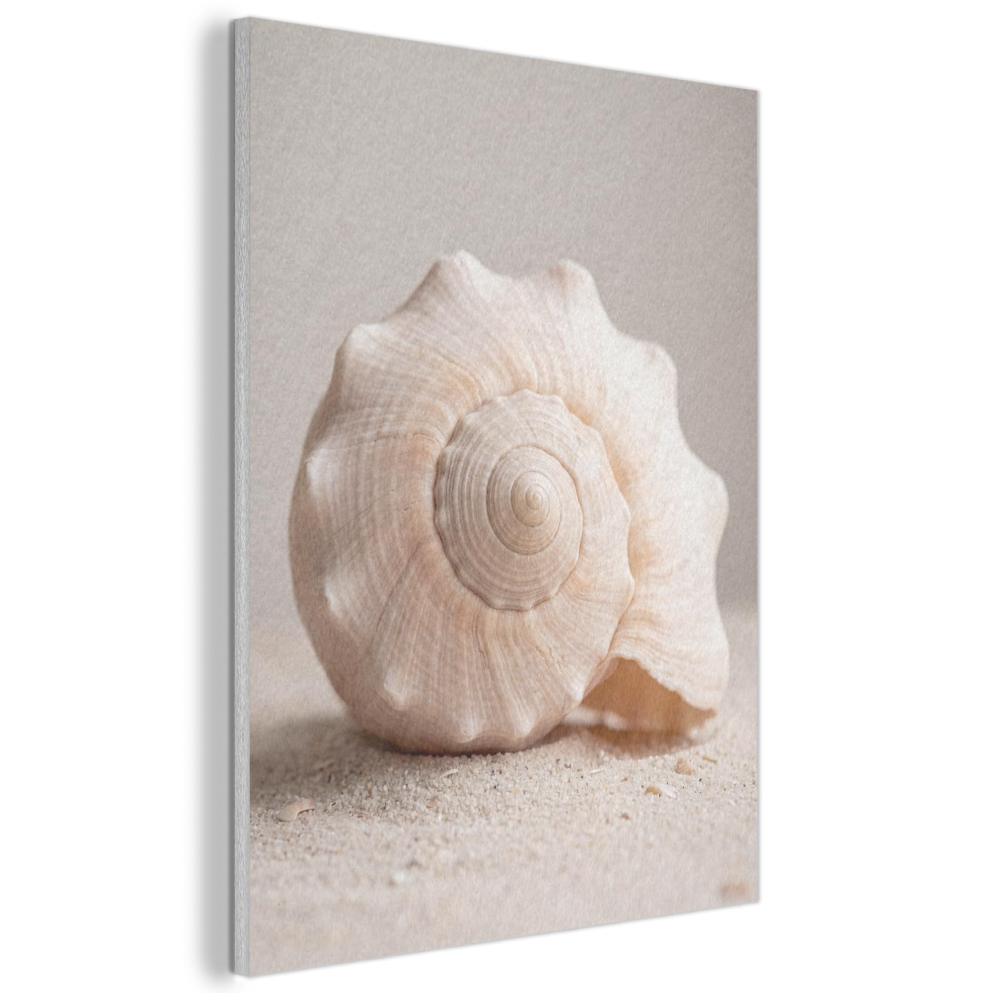 MuchoWow© Felt Panel 50x70 cm House Touch for Living Space Modern Visuals Decoration Wall Art Shell - Detail - Beige