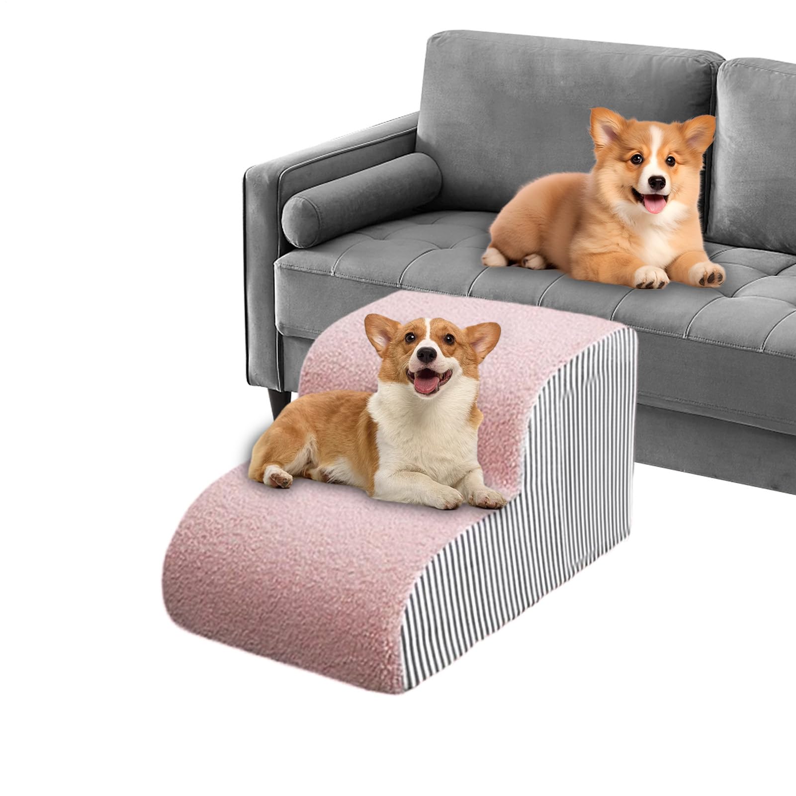 Marches pour chats d'intérieur et chiots avec échelle de camion SUV et housse lavable