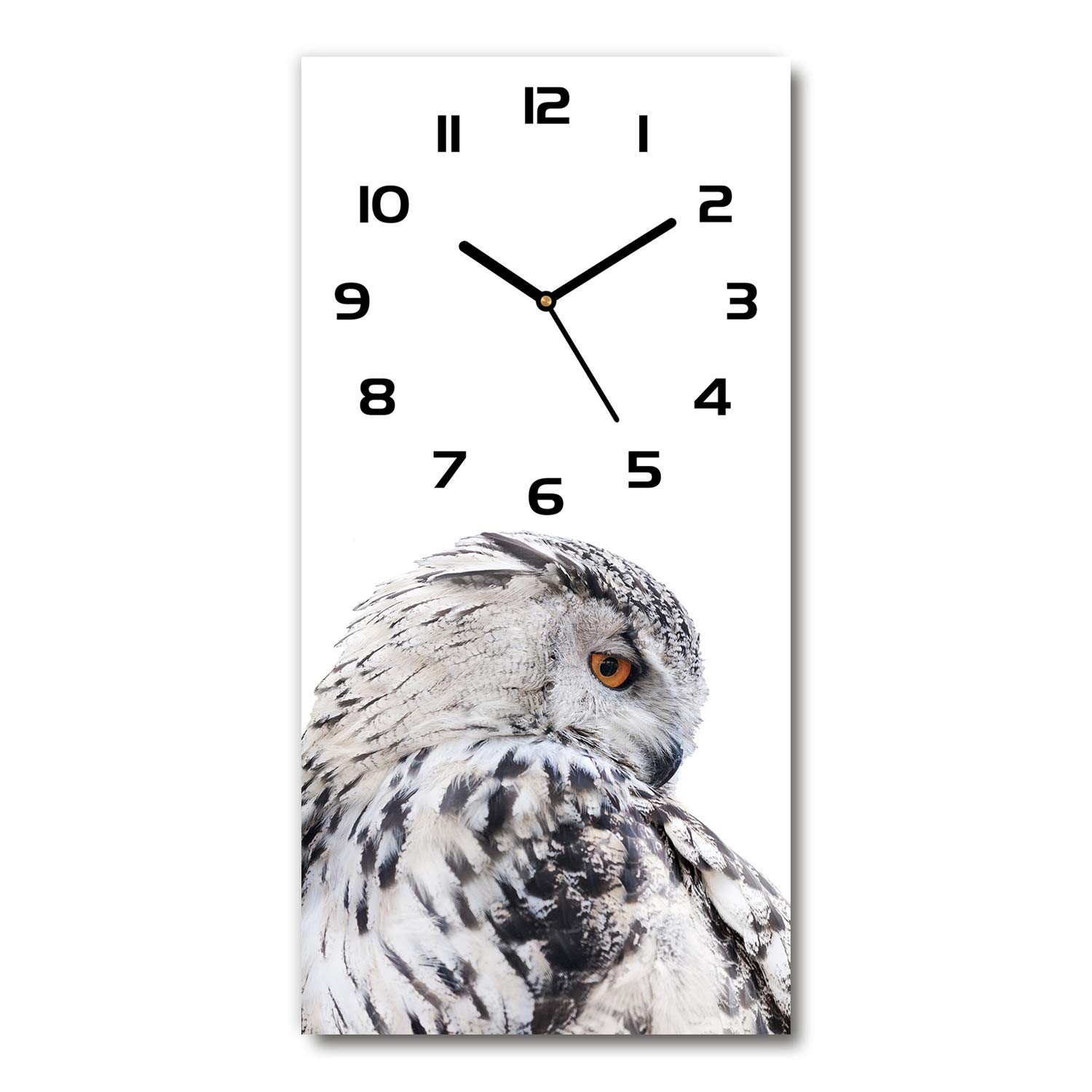 Horloge en verre pour salon design format 30x60 cm motif Chouette Blanche silencieuse
