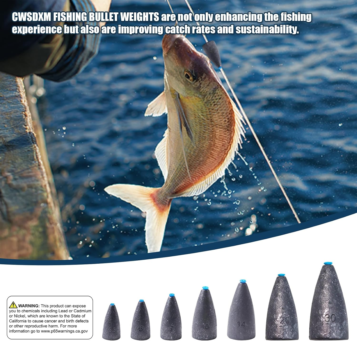 Worm Fishing Weights, Bullet Sinkers with Soft Plastic Insert Includes Weight Pegs, Carolina Rigs Texas Rigs for Bass Fishing 1/8 3/17 1/4 3/8 1/2 1 oz