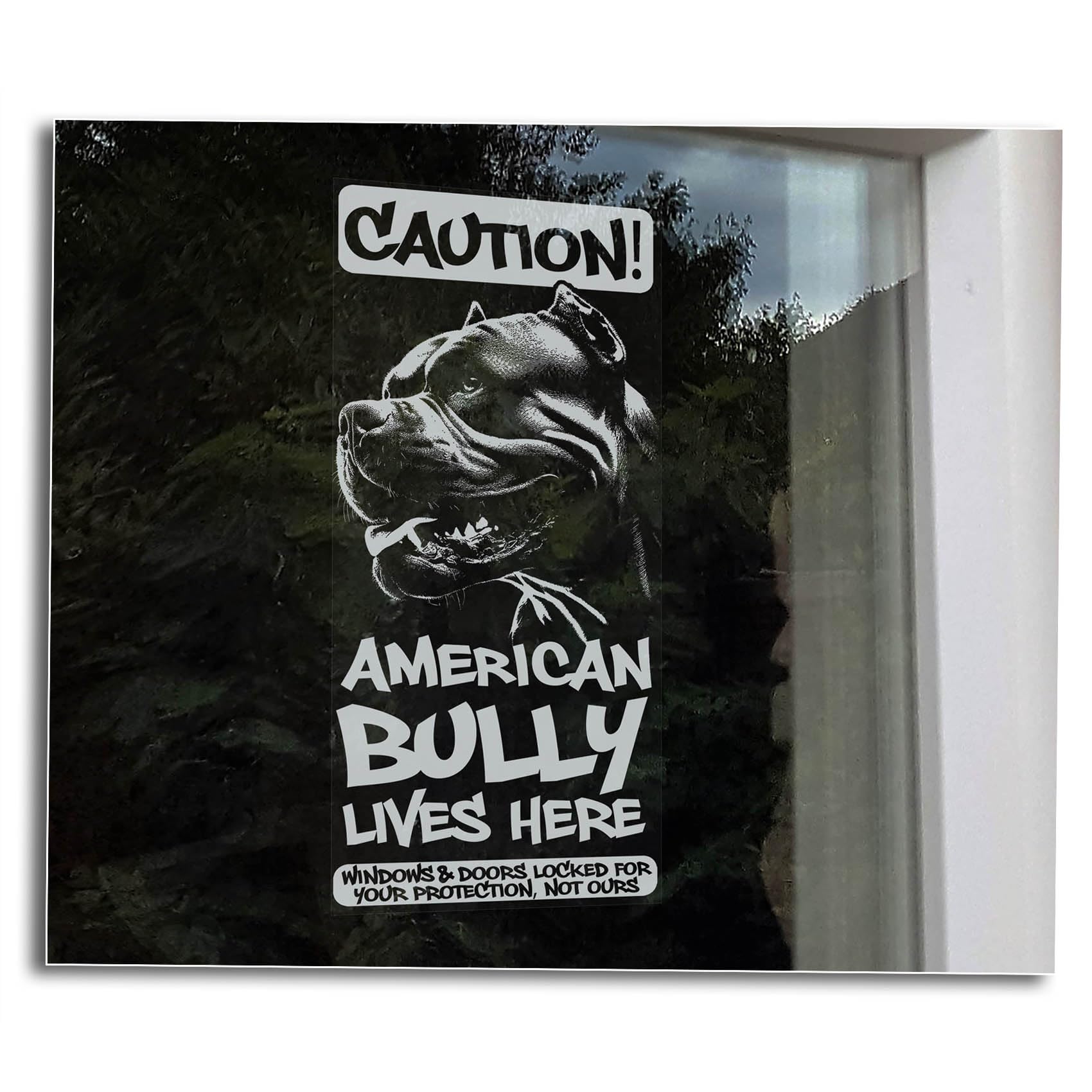 Caution: American Bully Lives Here, Home Security Window Sign, Beware of the Dog Car Sticker Owner Gift -V10 (Internal - White Reverse Print)