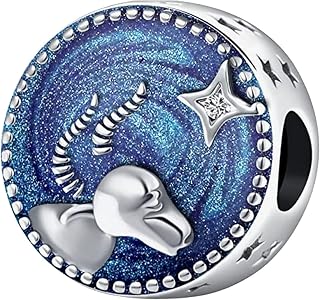 ZakiaHo 12 Constellation Zodiac Signs Happy Birthday Charms for Bracelets Compatible with Pandora Bracelets