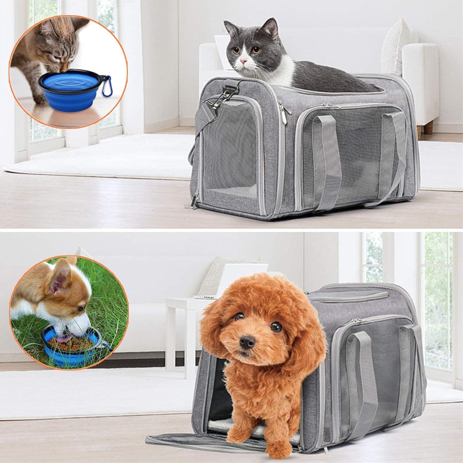 Transporttasche für Katze Hund, Faltbare Tragbar Katzentransportbox Hundetransportbox für Mittel Kleine Haustiere Katzen Hunde, Katze Tragebox Tragetasche bis 15lbs(Grau, M)
