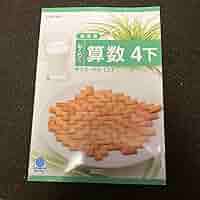 Amazon.co.jp: 啓林館わくわく算数4年生下指導書不登校自宅指導