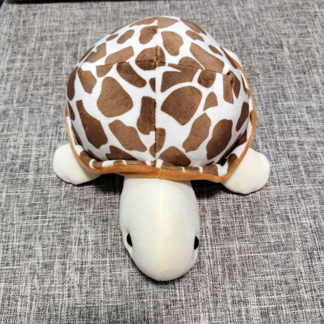 Amazon.co.jp: 沖縄限定 かめさん ぬいぐるみ : おもちゃ