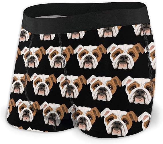 MOCSTONE Mens Boxer Brief Bulldog Dog Face Men�s Underwear
