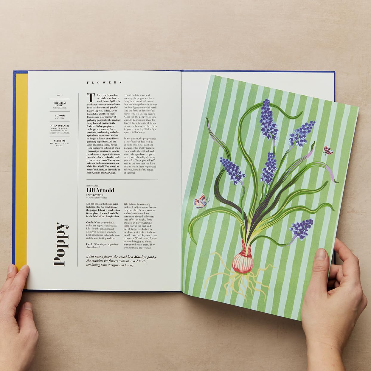 Flowers: A collection of botanical prints to admire and display