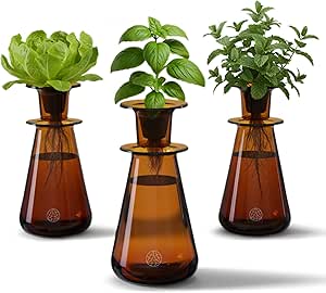 Lettuce Grow Counterstand Hydroponic Garden