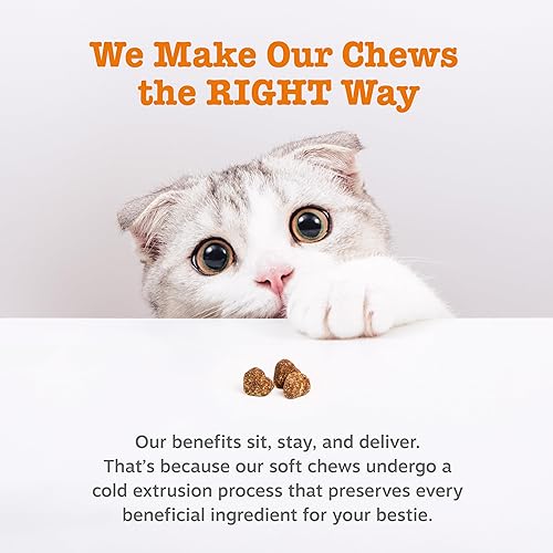 Miniatura 5 de Zesty Paws Alivio de la alergia para gatos - Suplemento antipicazón - Probióticos Omega 3 - Aceite de salmón Salud digestiva - Masticables suaves