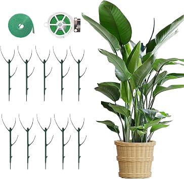 10 Pack Stackable Monstera Plant Support, 2025 New Plant Stakes for Indoor and Outdoor Plants Use, Garden Stakes for Climbing and Potted Plants, Pothos, Philodendron 10 Pack