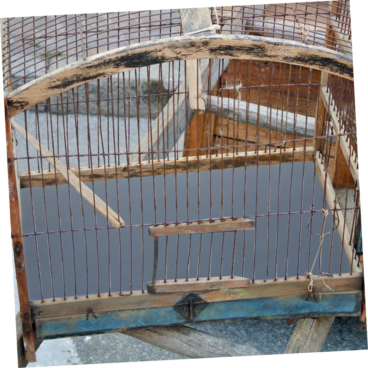 Milisten 10sheets Bird Cage Liner Pet Cage Paper for Parrots Comfortable and Convenient Gravel Paper Trims Beaks Claws Easy to and Replace for Daily Use
