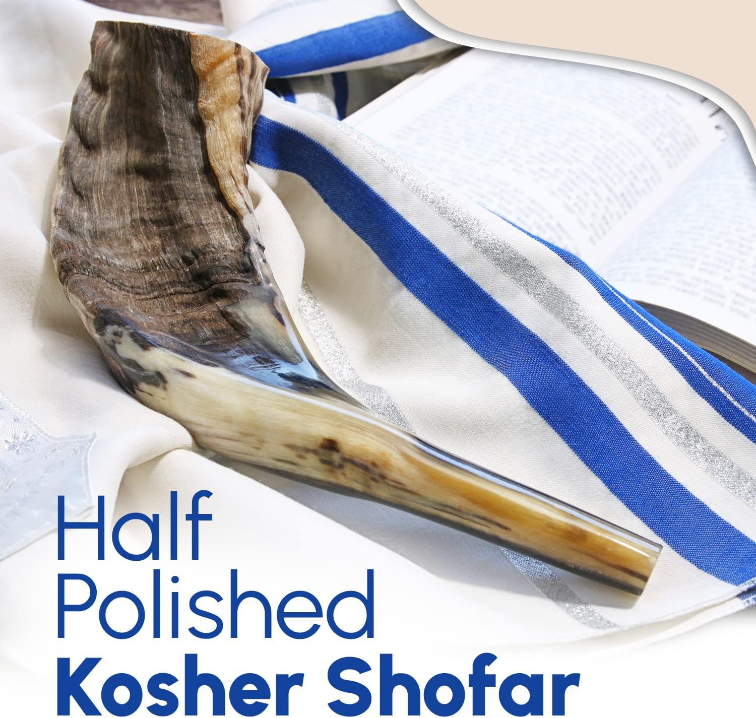 Nana Gifts Authentic Ram Horn Shofar from Israel, Clear Sound, Half Polished, 14''-16''