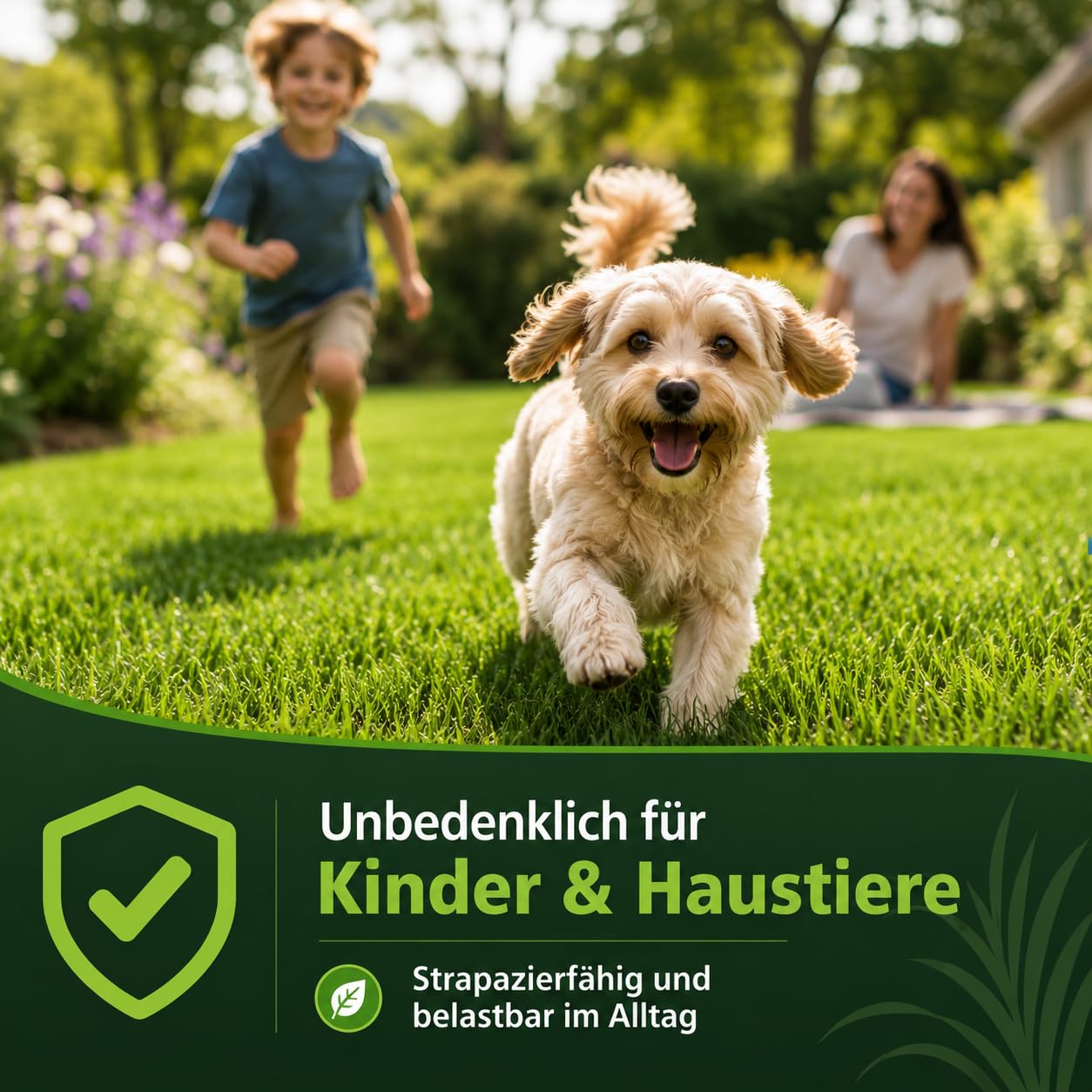 Schattenrasen Samen Rasensamen schnellkeimend Sommer 2,5 kg = 75 m² | Grassamen schnellkeimend für schattige Flächen | für Rasen Nachsaat | SEHR GUT getestet | Inkl. Rasensaat Anleitung
