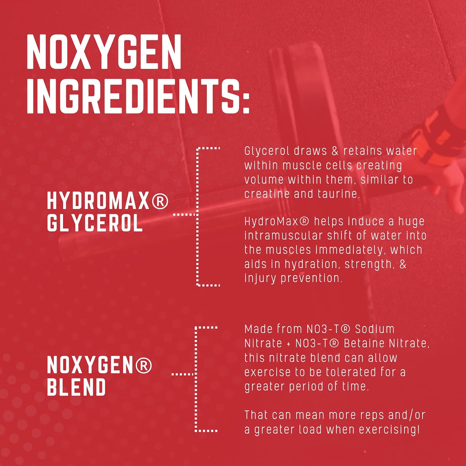 Purus Labs NOXygen Powder Pre-Workout Accelerator | Nitric Oxide Booster & Oxygen Amplifier | Hydromax Glycerol & NO3-T Nitrates | 40 Servings (Unflavored)