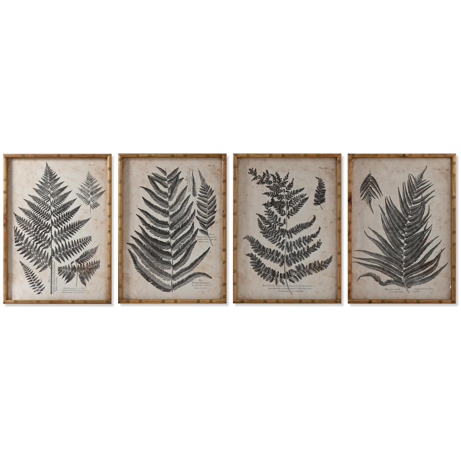 Cadre photo bois de sapin verre 50x3x70 cm tableau fougère décoration murale de salon
