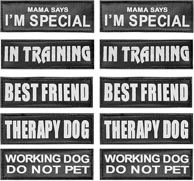 AUROTH Service Dog Vest Patches - 10 قطع ، بقع صلابة عاكسة وقابلة للإزالة للتدريب