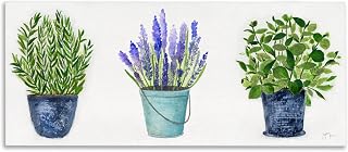 Stupell Industries Potted Plants and Herbs, 13 x 30 Inch Canvas Wall Art