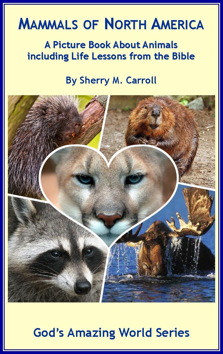 Mammals of North America A Picture Book about Animals Including Life