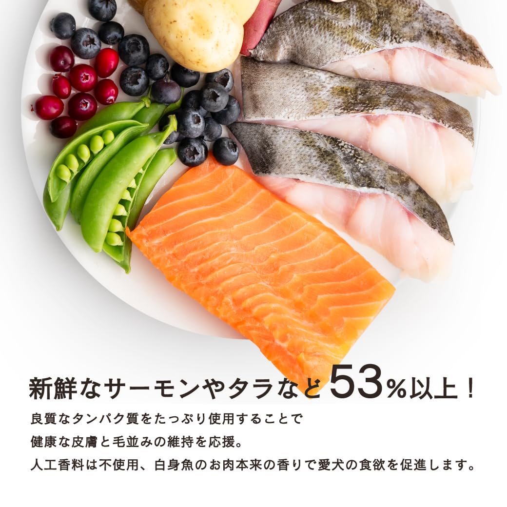 Amazon.co.jp: GRANDS (グランツ) 人工添加物不使用 グレインフリー 全