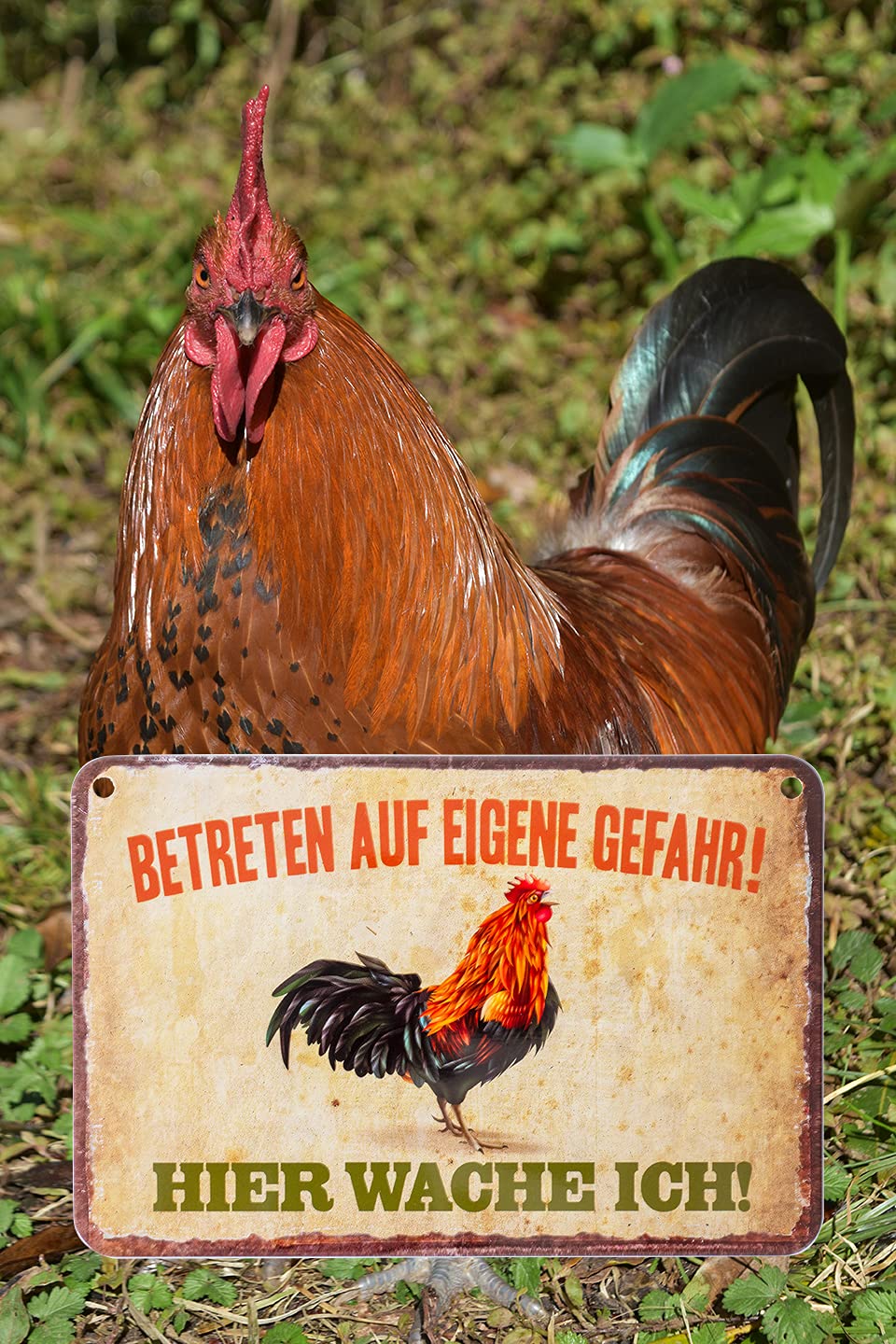 Chicken Crossing Blechschild 10x40 Cm – Lustige Hühner-Deko Für Garten & Haus