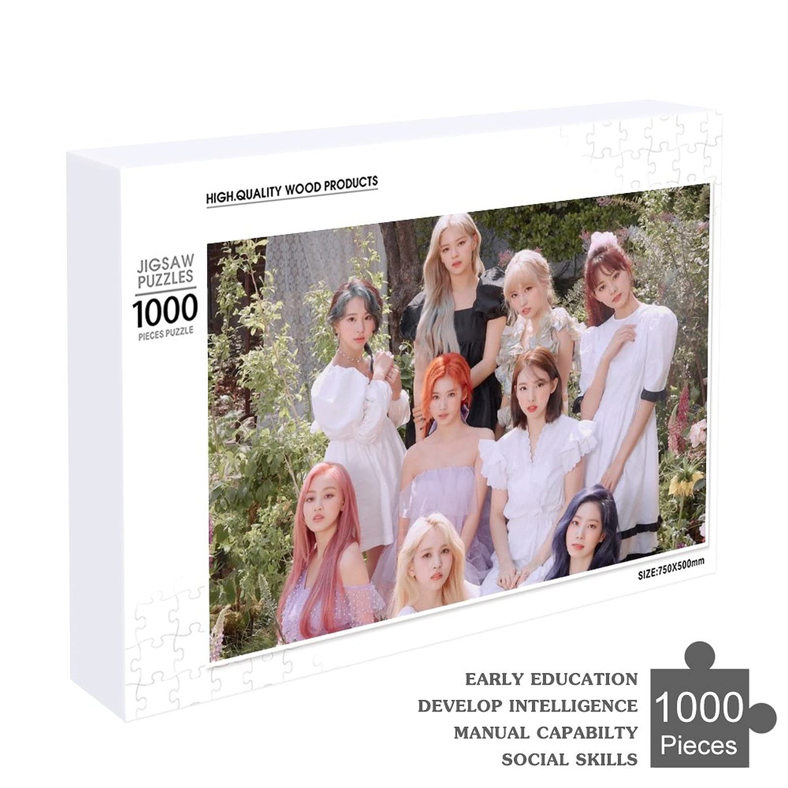 Amazon.co.jp: トゥワイス TWICE ジグソーパズル 木製 パズル 壁飾り