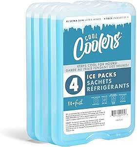 Cool Coolers by Fit &amp; Fresh 4 Pack XL Slim Ice Packs, Quick Freeze Space Saving Reusable Ice Packs for Lunch Boxes or Coolers, Blue, 239ICE