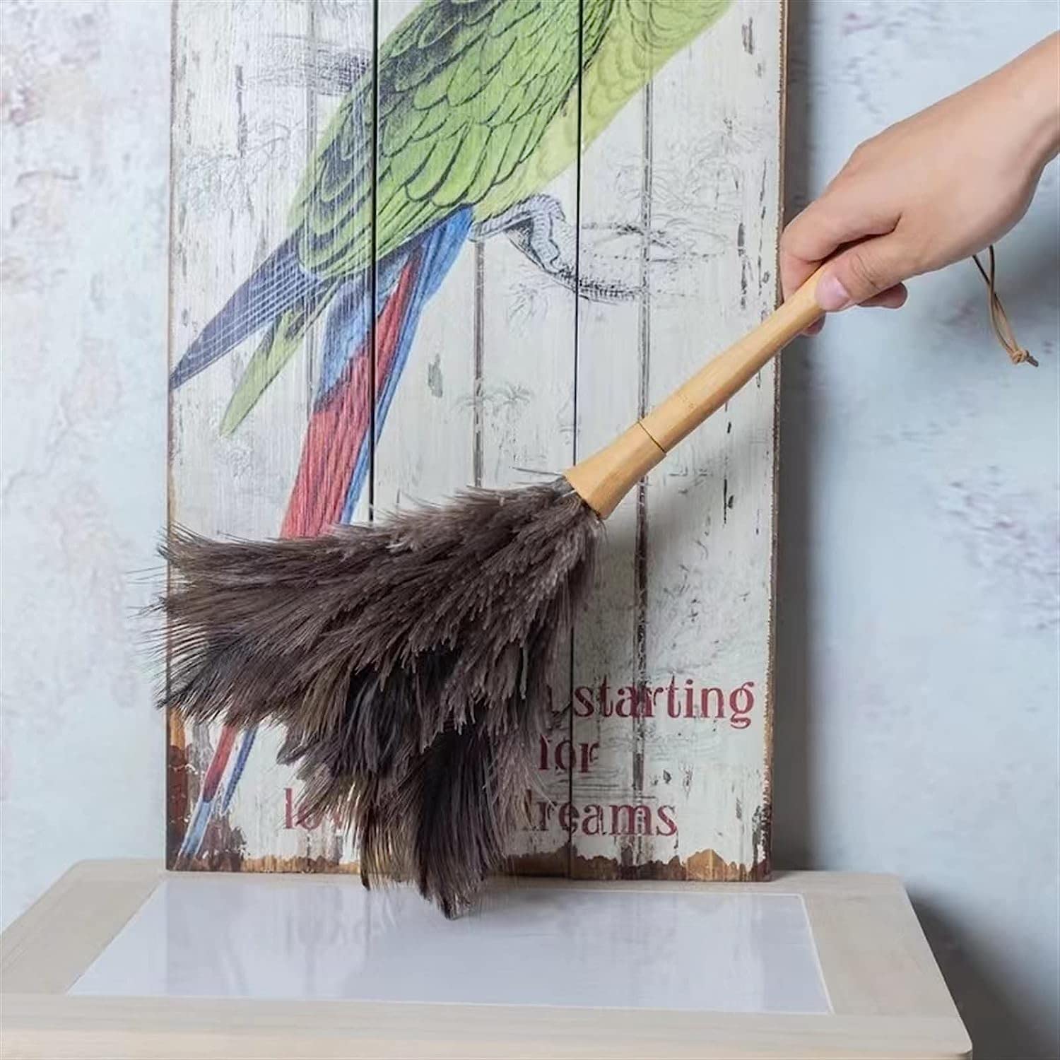 Plumero de avestruz for el hogar, plumero plumas suaves for muebles
