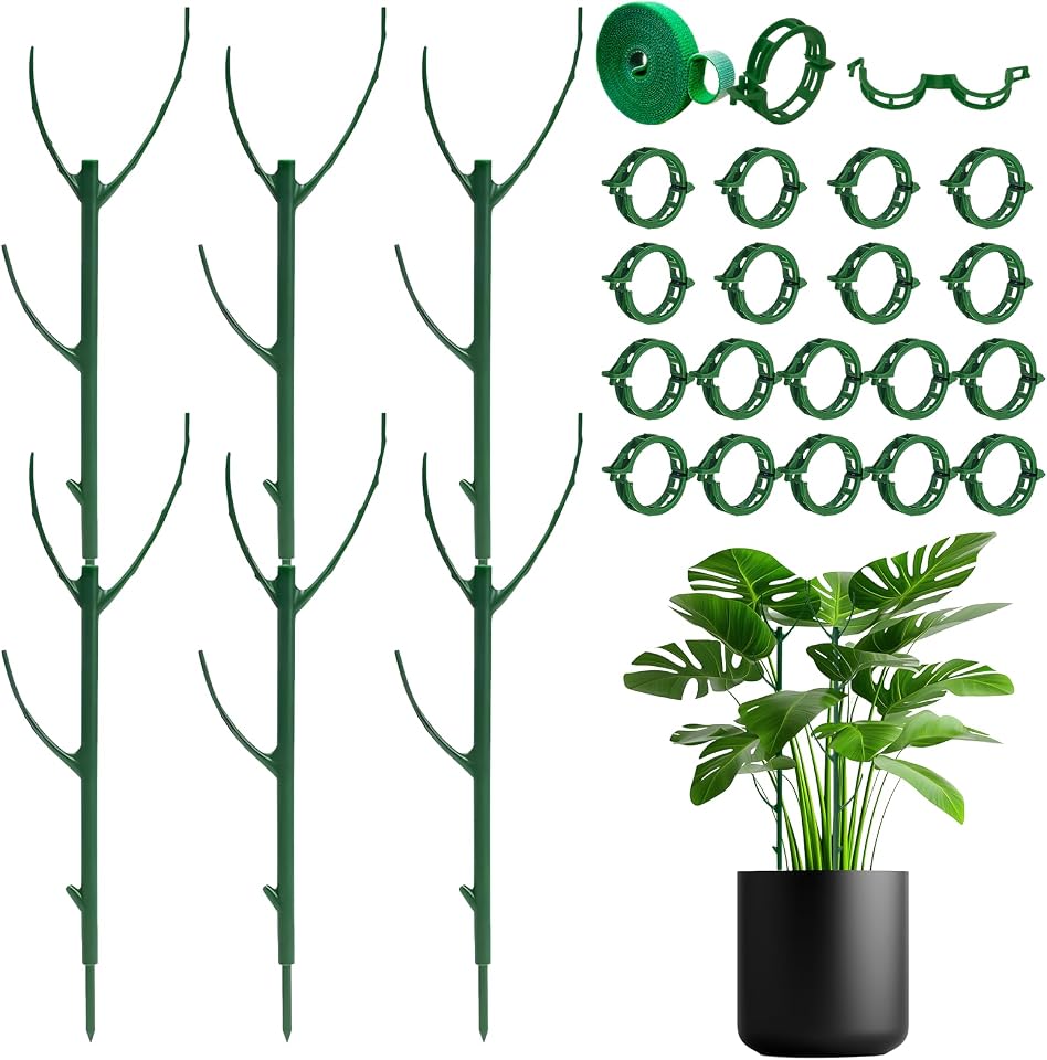 Indoor Plant Support Stakes With Clips and Ties, 6-Pack product image from Amazon