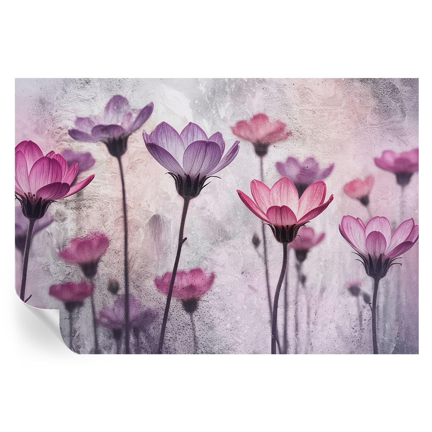 Vinilos de pared decorativos autoadhesivos para renovar paredes aburridas sin hacer obras en casa