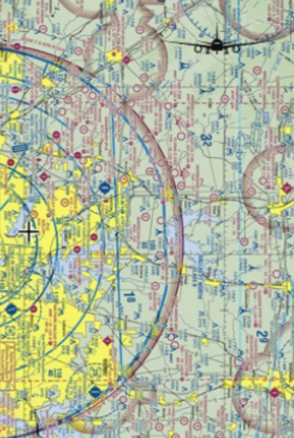 Taking Flight over Dallas