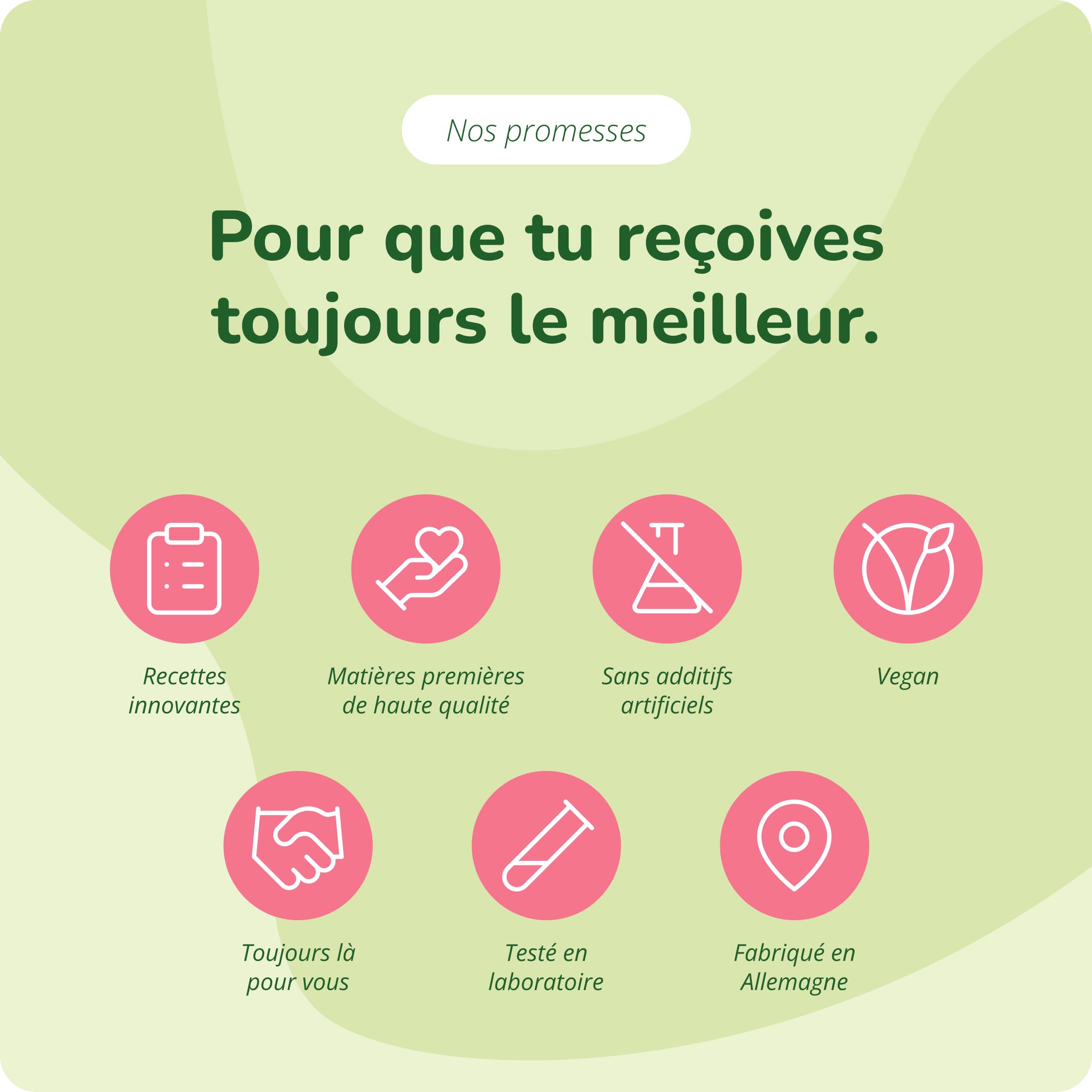 Circulation Sanguine | Jambes Lourdes et Gonflées | Vegavero® | 120 Gélules | Avec Vigne Rouge, Prêle des Champs, Petit Houx, Gotu Kola et Myrtille | 100% Naturel | Vegan