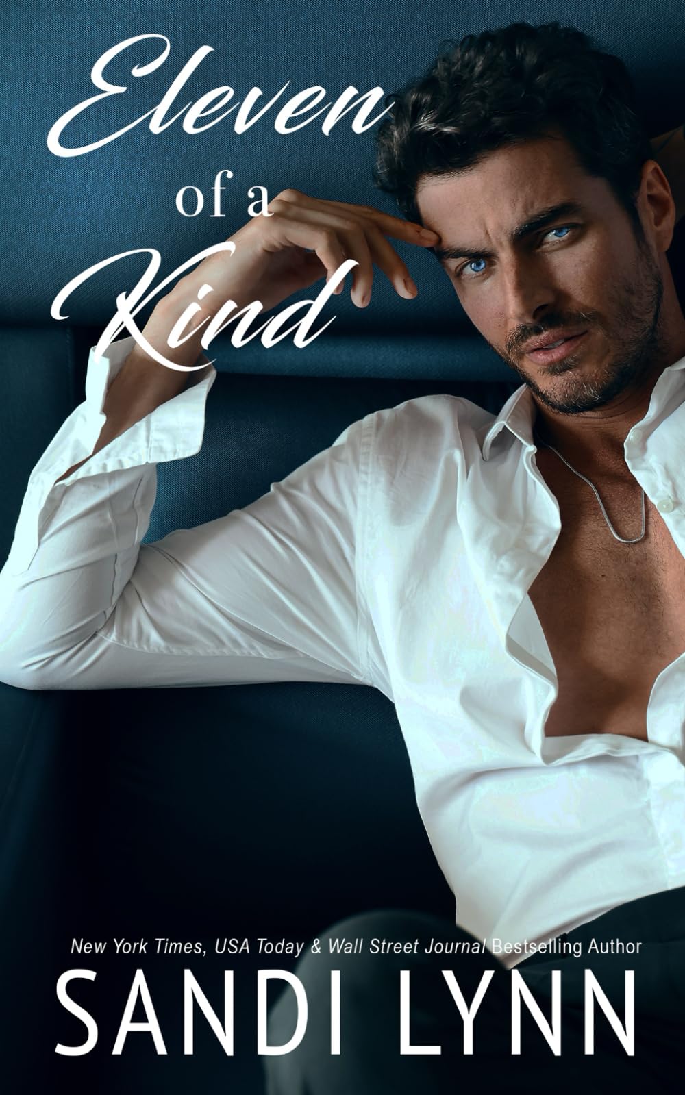 Eleven of a Kind: Kind Brothers Series, Book 16
