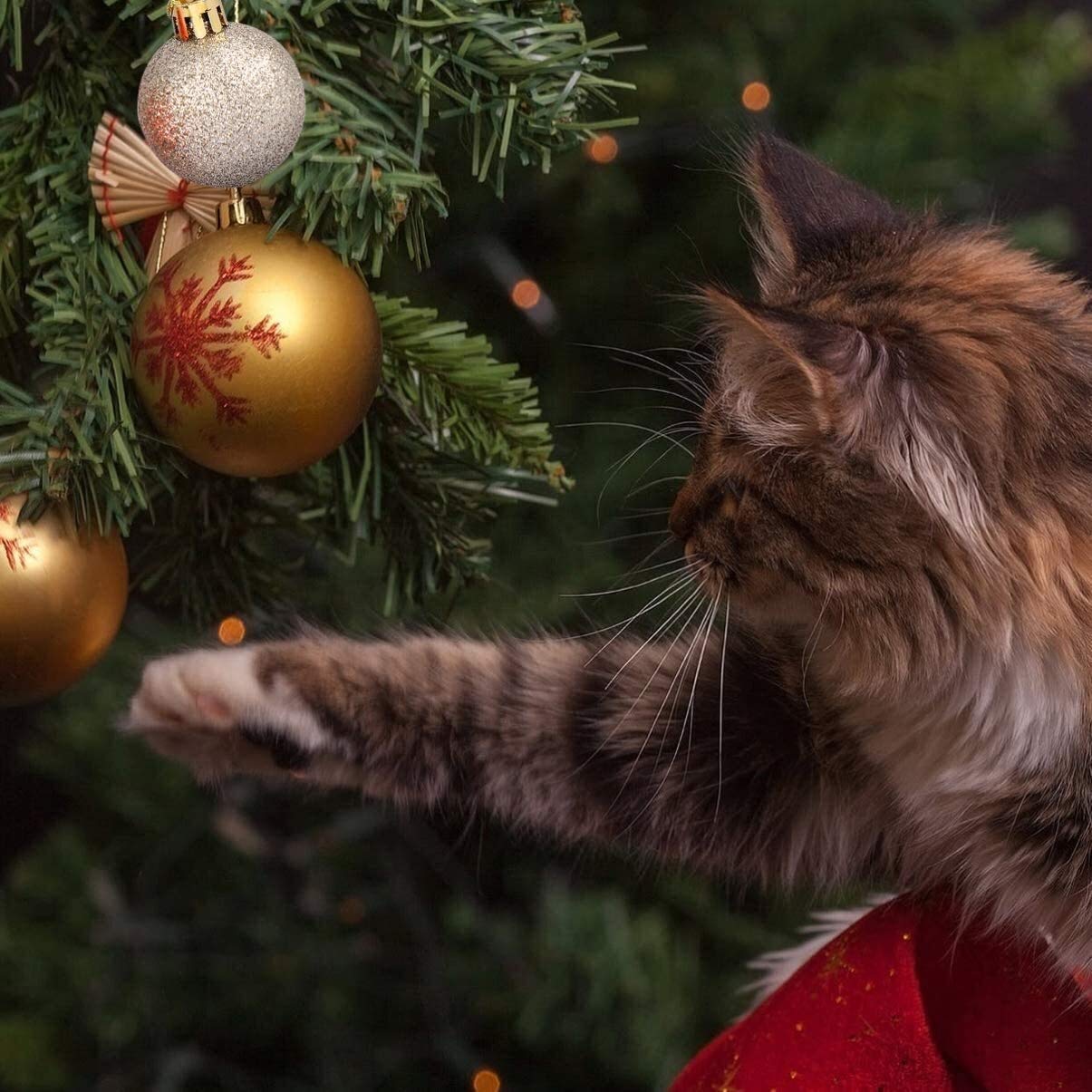 24 szt. Ozdoby choinkowe Wiszące ozdoby na choinkę DIY wieniec Making Crafts Christmas Party Supplies (kolor: niebieski czerwony zielony biały) (czerwony złoty biały)