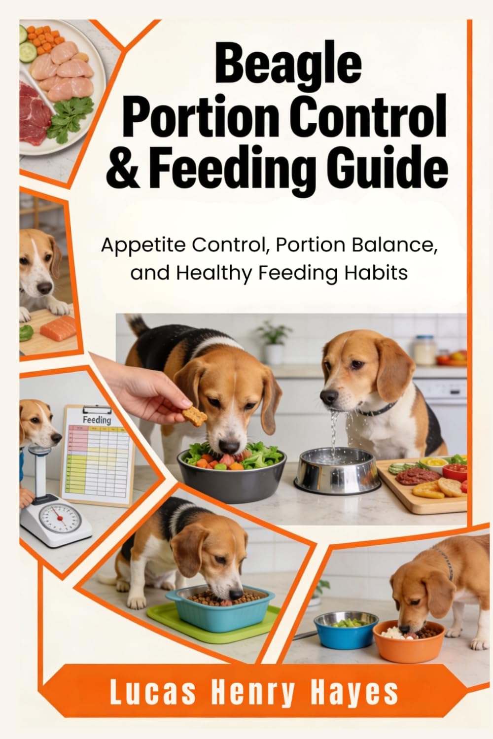 Beagle Portion Control & Feeding Guide: Appetite Control, Portion Balance, and Healthy Feeding Habits