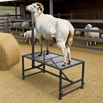 500lbs Capacity Goat Stand, 47x23 Inch Metal Goat Milking Stand, Adjustable Height 21" To 33", Adjustable Headpiece Livestock Trimming Stand 47x23 In Conventional