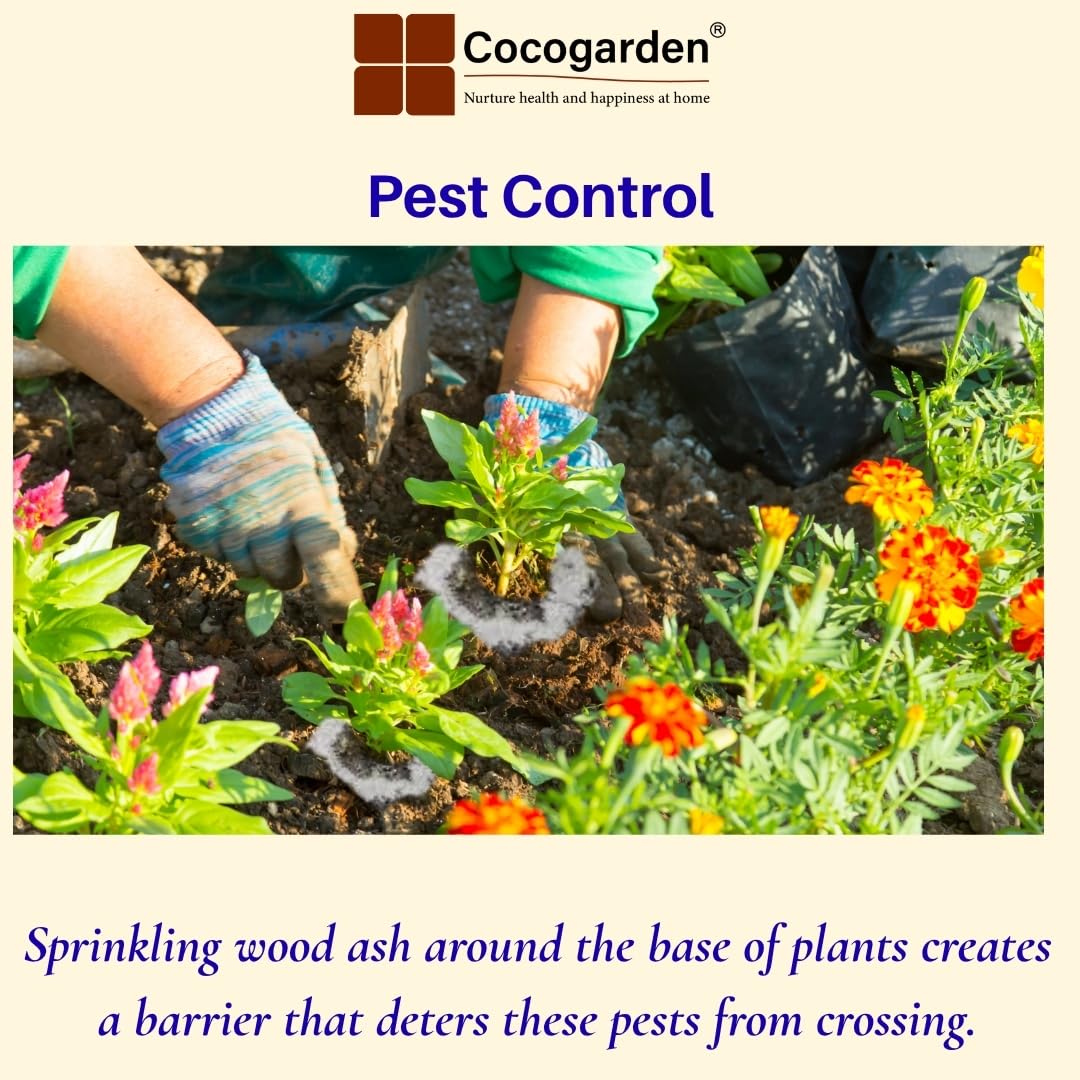 Wood Ash Fertilizer - Boost Flowers & Fruit! -5 Wood Ash Fertilizer - Boost Flowers & Fruit! -5