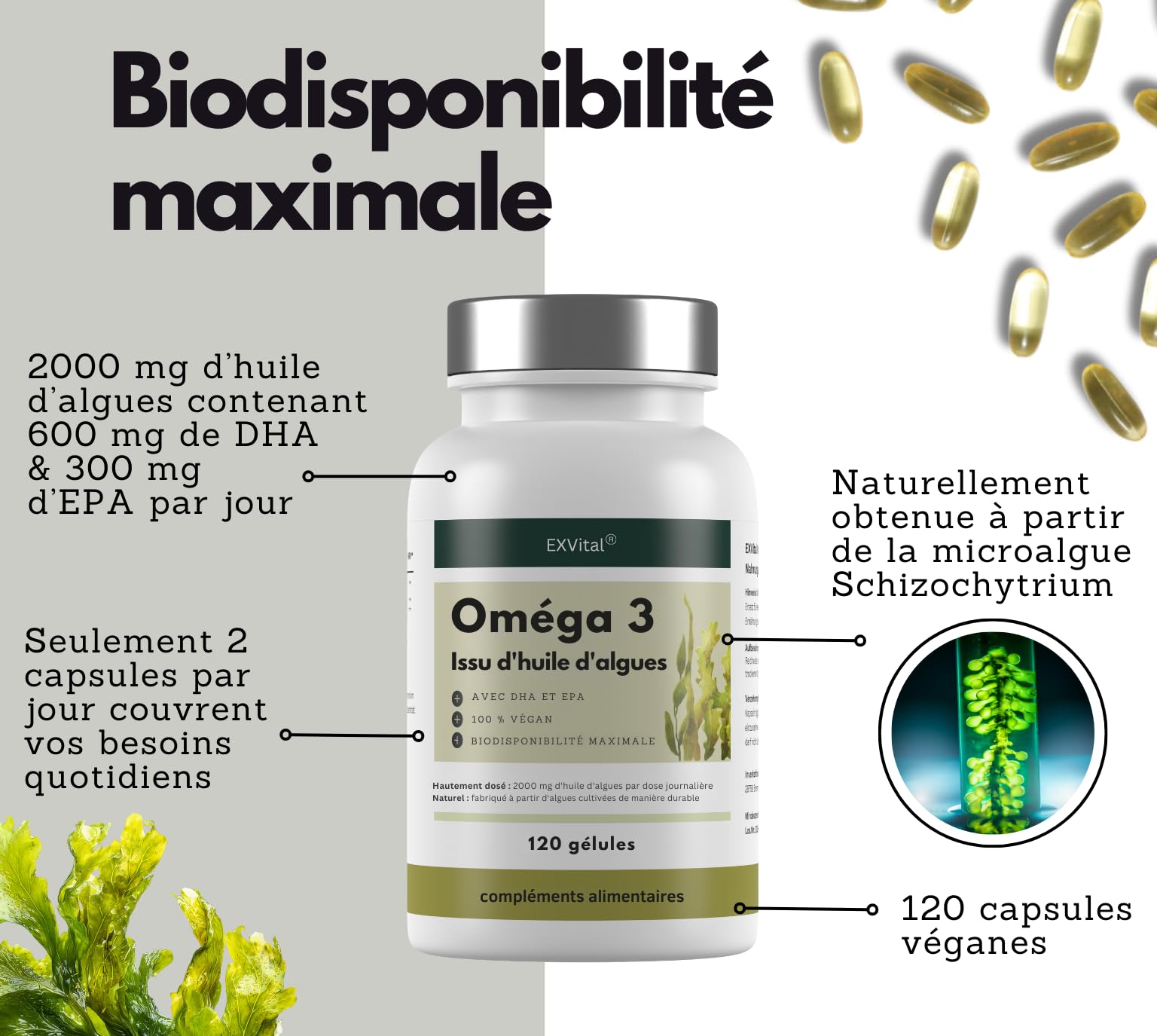 EXVital® Oméga 3 à base d'huile d'algues, végétalien, 120 gélules, 2000 mg, 600 mg de DHA et 300 mg d'EPA par jour, issu d'algues durables, hautement dosé et testé en laboratoire
