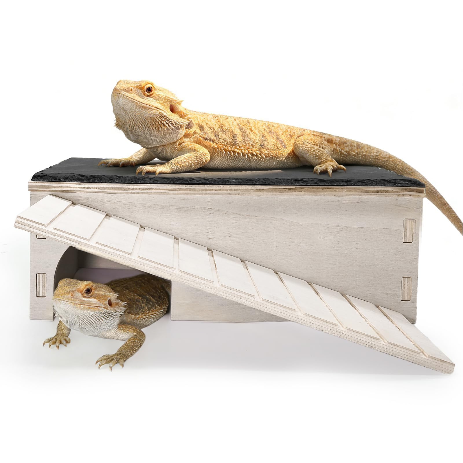 Photo 1 of [DIRTY] Gxsdj Large Bearded Dragon Basking Platform,Wooden Reptile Hide Cave with Slate Rock Climbing Ramp Tank Accessories for Leopard Geckos,Lizard,Snake,Tortoise